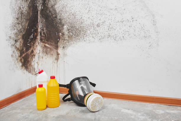 Best Mold Testing  in Tyrone, OK
