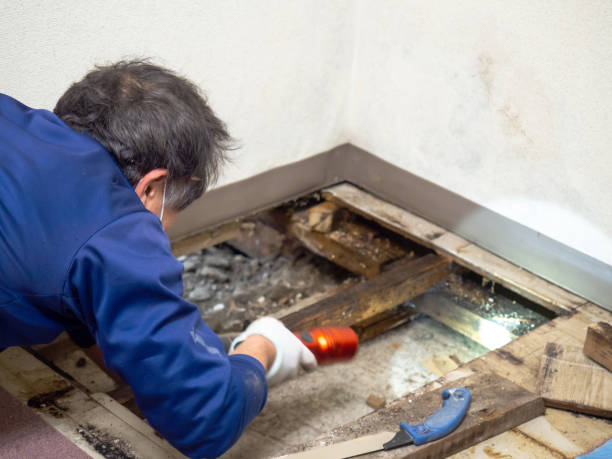  Tyrone, OK Mold Removal Pros