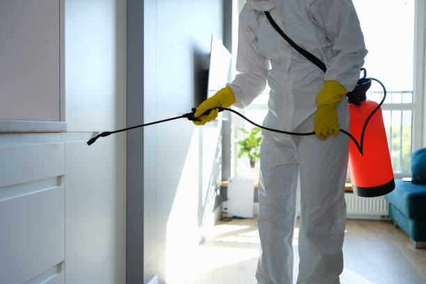 Best Mold Cleaning Services  in Tyrone, OK