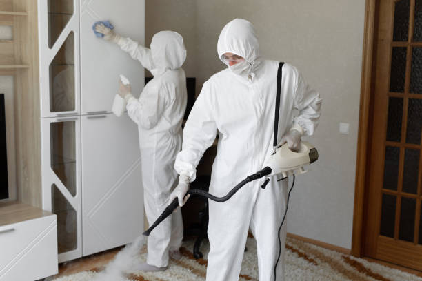Crawl Space Mold Removal in Tyrone, OK