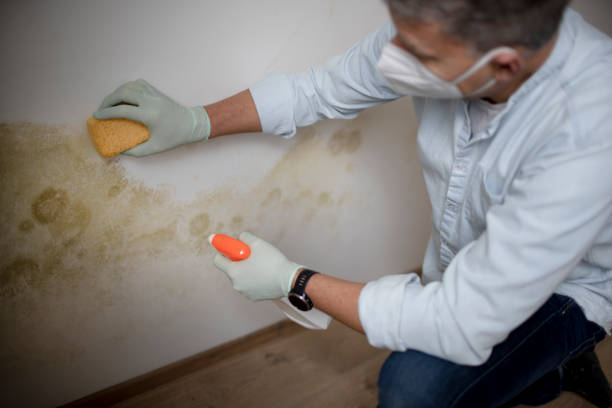 Best Mold Cleaning Services  in Tyrone, OK
