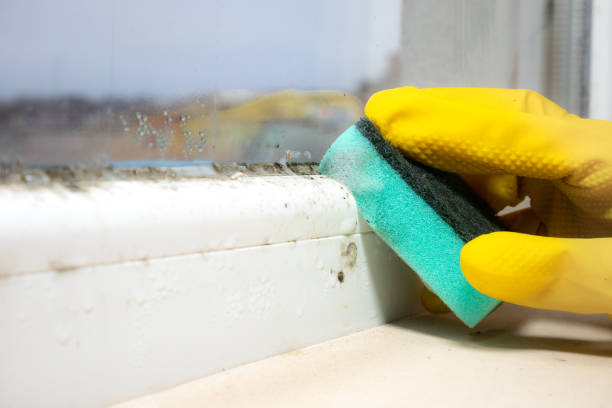 Best Crawl Space Mold Removal  in Tyrone, OK
