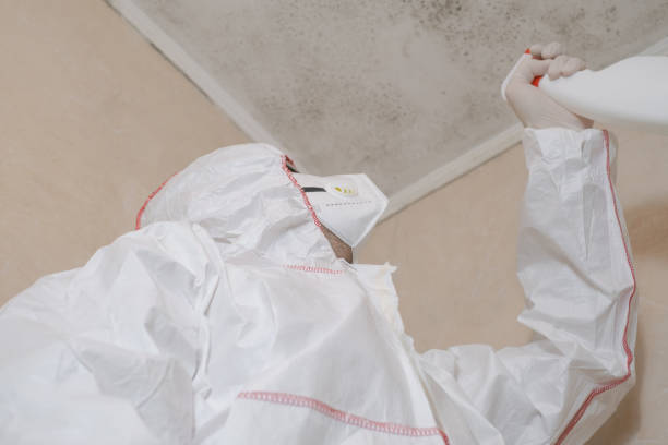 Certified Mold Removal in Tyrone, OK