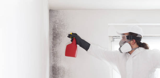 Best Mold Testing  in Tyrone, OK