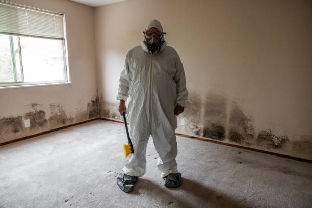 Best Mold Damage Repair  in Tyrone, OK