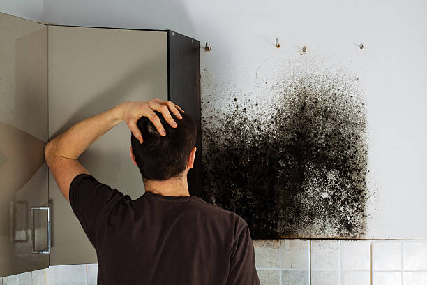 Best Affordable Mold Removal  in Tyrone, OK