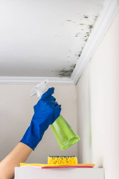 Best Crawl Space Mold Removal  in Tyrone, OK